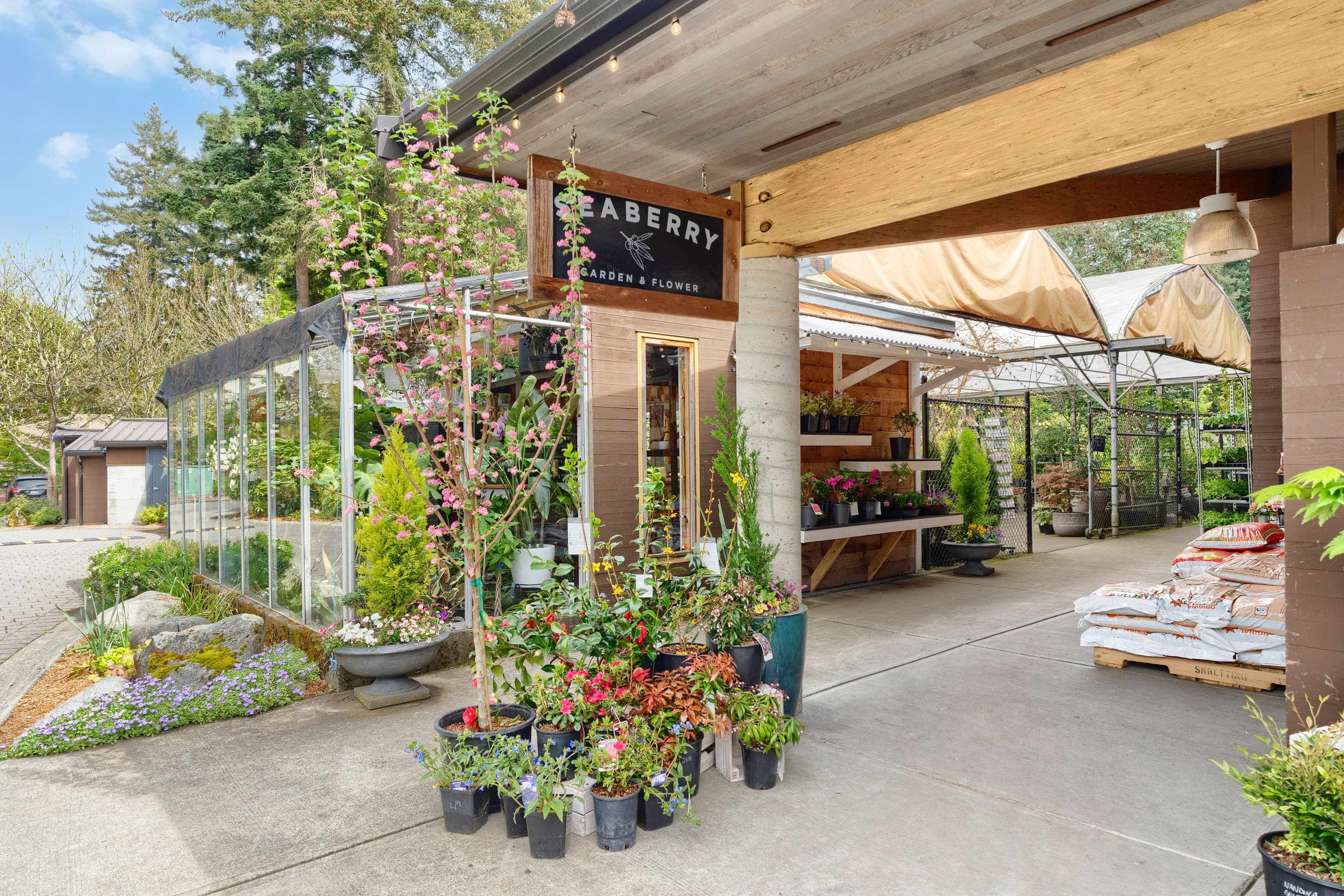 Wide greenhouse interior with arched ceiling, plants on tables and gravel paths