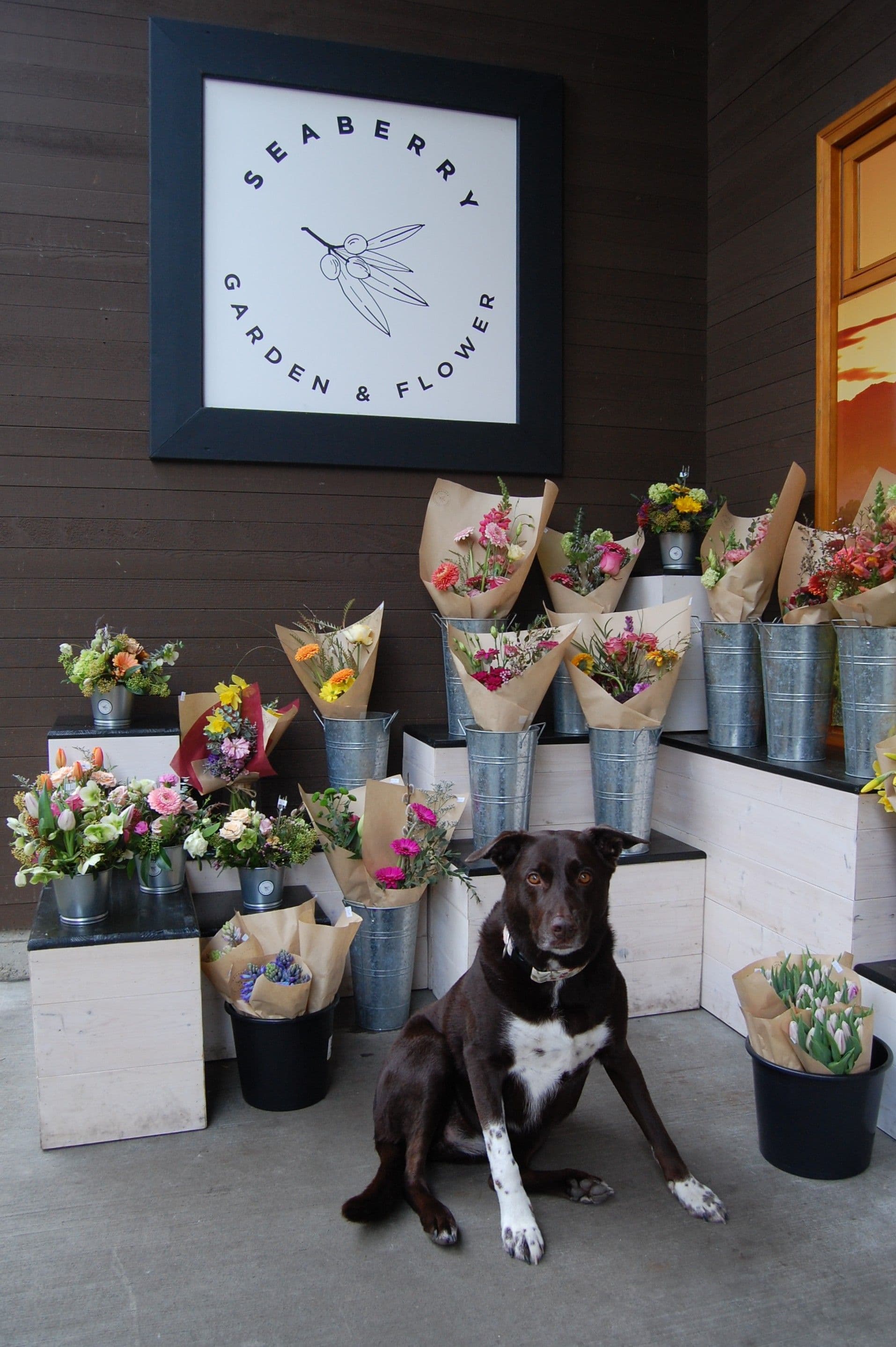 Branded Seaberry Garden & Flower entrance with bouquets at the porch