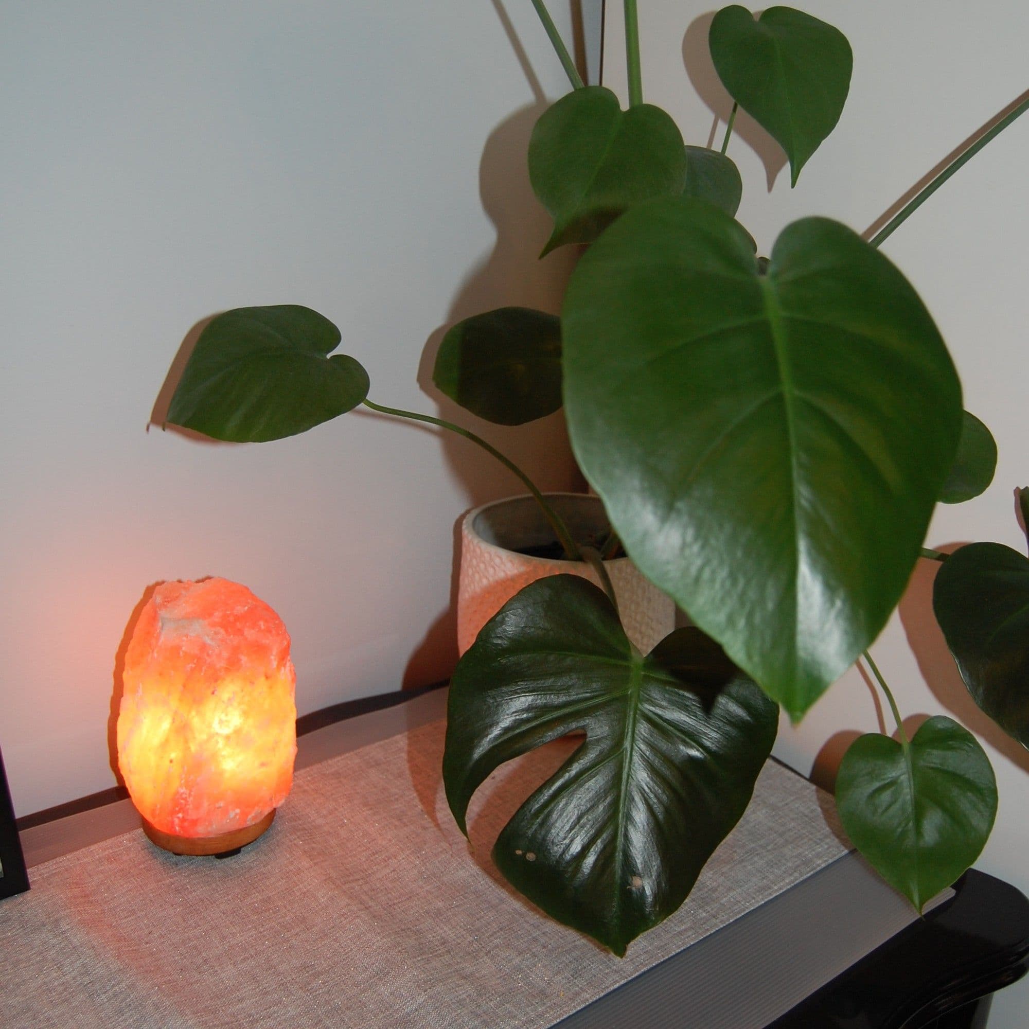 Himalayan salt lamp glowing beside a potted monstera plant
